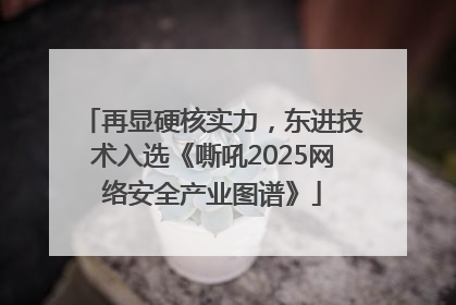 再显硬核实力，东进技术入选《嘶吼2025网络安全产业图谱》