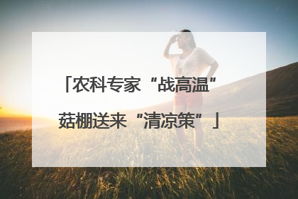 农科专家“战高温” 菇棚送来“清凉策”