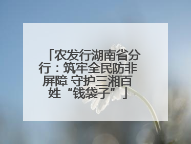 农发行湖南省分行：筑牢全民防非屏障 守护三湘百姓“钱袋子”