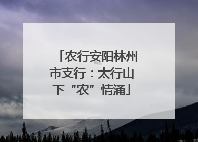 农行安阳林州市支行：太行山下“农”情涌