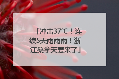 冲击37℃！连续5天雨雨雨！浙江桑拿天要来了