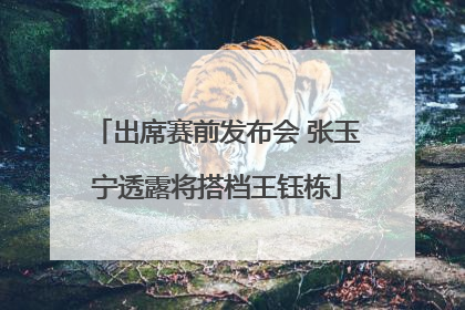 出席赛前发布会 张玉宁透露将搭档王钰栋