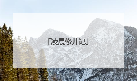凌晨修井记