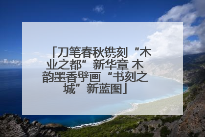 刀笔春秋镌刻“木业之都”新华章 木韵墨香擘画“书刻之城”新蓝图