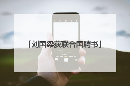 刘国梁获联合国聘书