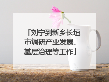 刘宁到新乡长垣市调研产业发展、基层治理等工作