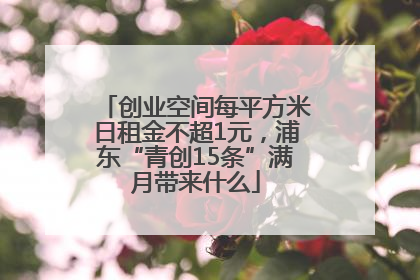 创业空间每平方米日租金不超1元，浦东“青创15条”满月带来什么