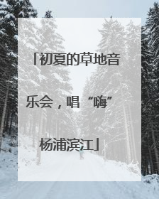 初夏的草地音乐会，唱“嗨”杨浦滨江