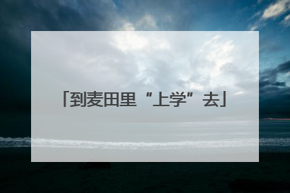 到麦田里“上学”去