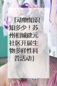 动物知识知多少！苏州相城建元社区开展生物多样性科普活动