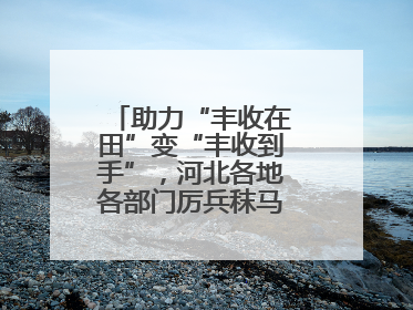 助力“丰收在田”变“丰收到手”，河北各地各部门厉兵秣马迎战“三夏”