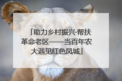 助力乡村振兴·帮扶革命老区——当百年农大遇见红色凤城