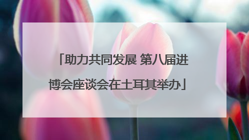 助力共同发展 第八届进博会座谈会在土耳其举办