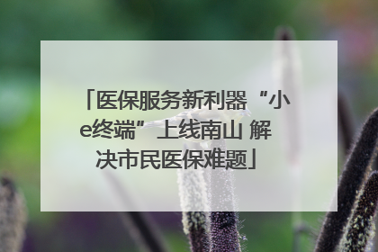 医保服务新利器“小e终端”上线南山 解决市民医保难题