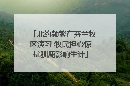 北约频繁在芬兰牧区演习 牧民担心惊扰驯鹿影响生计
