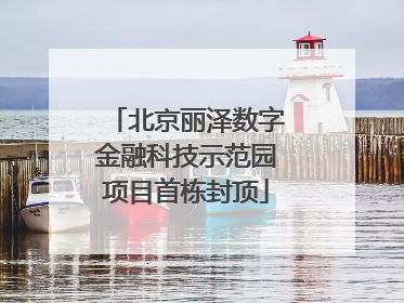 北京丽泽数字金融科技示范园项目首栋封顶