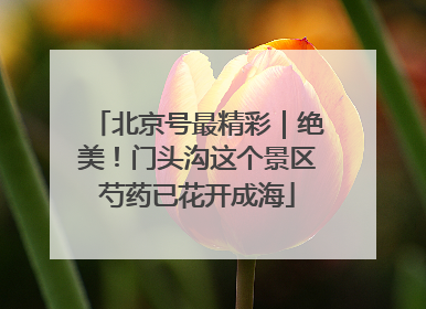 北京号最精彩｜绝美！门头沟这个景区芍药已花开成海