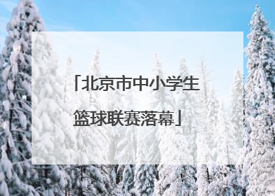 北京市中小学生篮球联赛落幕