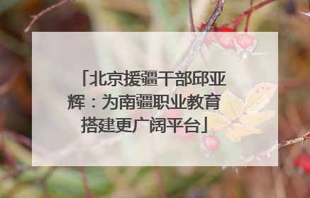 北京援疆干部邱亚辉：为南疆职业教育搭建更广阔平台