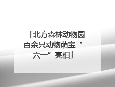 北方森林动物园百余只动物萌宝“六一”亮相