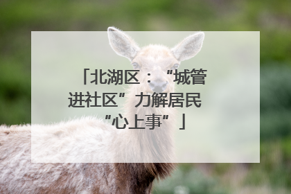 北湖区：“城管进社区”力解居民“心上事”