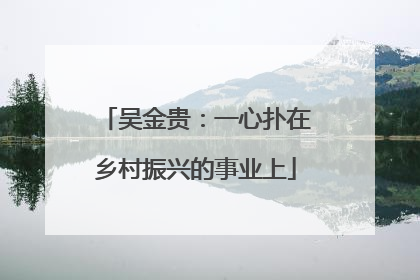 吴金贵：一心扑在乡村振兴的事业上
