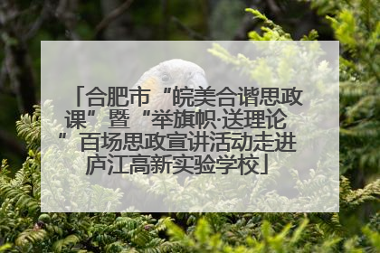 合肥市“皖美合谐思政课”暨“举旗帜·送理论”百场思政宣讲活动走进庐江高新实验学校