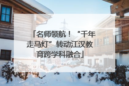名师领航！“千年走马灯”转动江汉教育跨学科融合