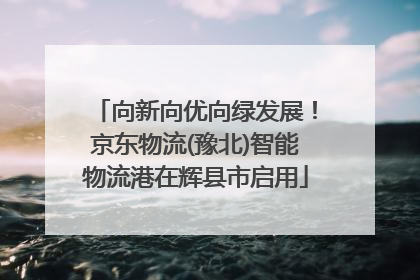 向新向优向绿发展！京东物流(豫北)智能物流港在辉县市启用