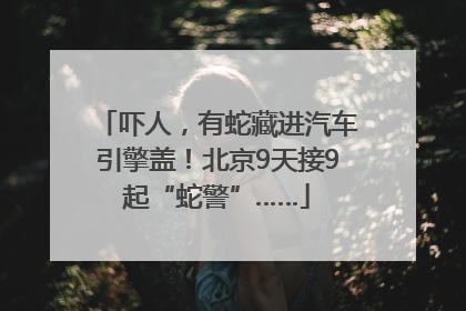 吓人，有蛇藏进汽车引擎盖！北京9天接9起“蛇警”……
