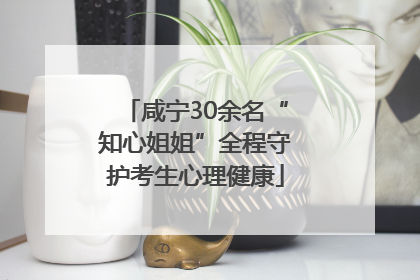 咸宁30余名“知心姐姐”全程守护考生心理健康