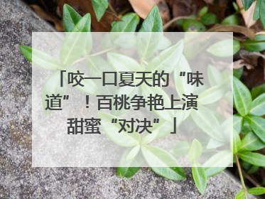 咬一口夏天的“味道”！百桃争艳上演甜蜜“对决”