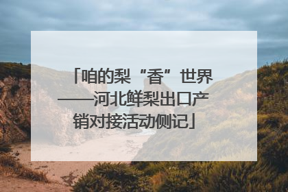 咱的梨“香”世界——河北鲜梨出口产销对接活动侧记