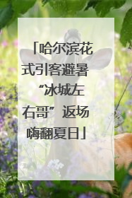 哈尔滨花式引客避暑 “冰城左右哥”返场嗨翻夏日