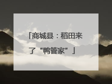 商城县：稻田来了“鸭管家”