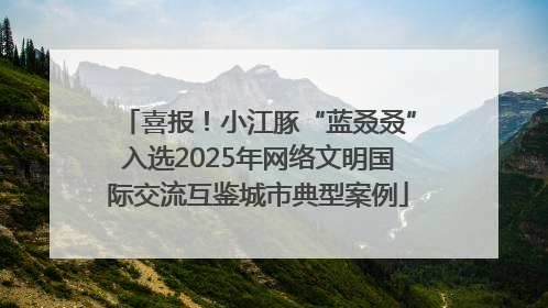 喜报！小江豚“蓝叒叒”入选2025年网络文明国际交流互鉴城市典型案例