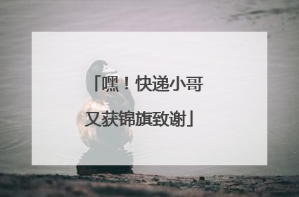 嘿！快递小哥又获锦旗致谢