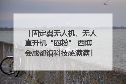固定翼无人机、无人直升机“圈粉” 西博会成都馆科技感满满