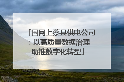 国网上蔡县供电公司：以高质量数据治理 助推数字化转型
