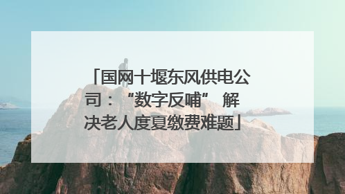 国网十堰东风供电公司：“数字反哺” 解决老人度夏缴费难题