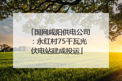 国网咸阳供电公司：永红村75千瓦光伏电站建成投运
