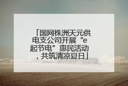 国网株洲天元供电支公司开展“e起节电”惠民活动，共筑清凉夏日