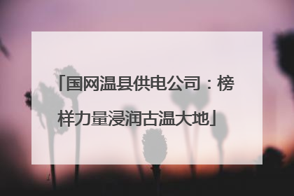 国网温县供电公司：榜样力量浸润古温大地