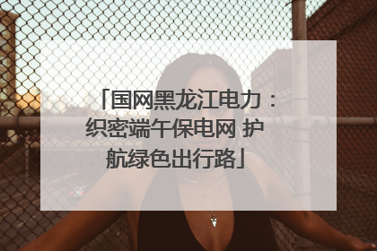 国网黑龙江电力：织密端午保电网 护航绿色出行路