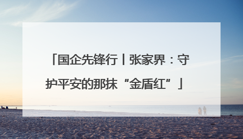 国企先锋行丨张家界：守护平安的那抹“金盾红”