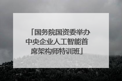 国务院国资委举办中央企业人工智能首席架构师特训班