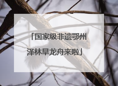 国家级非遗鄂州泽林旱龙舟来啦