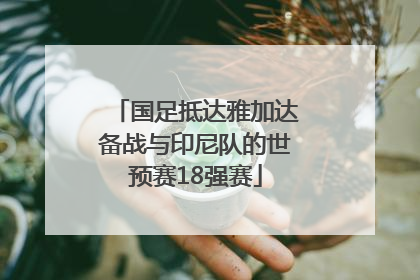 国足抵达雅加达备战与印尼队的世预赛18强赛