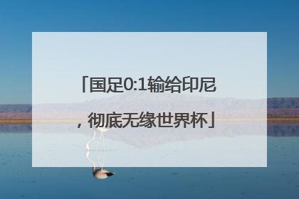 国足0:1输给印尼，彻底无缘世界杯
