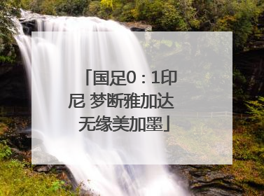 国足0∶1印尼 梦断雅加达 无缘美加墨